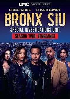 Бронкс: отдел спецрасследований (2 сезон)