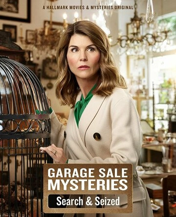 Garage Sale Mysteries: Searched & Seized (2019)