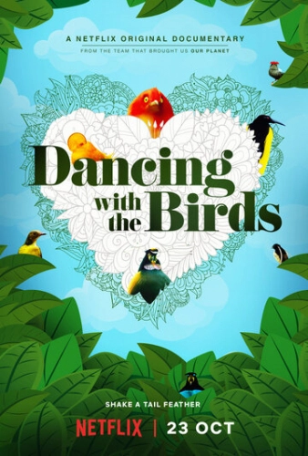 Танцы с птицами (2019) смотреть онлайн