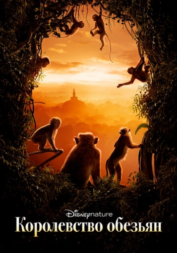 Королевство обезьян (2015) смотреть онлайн