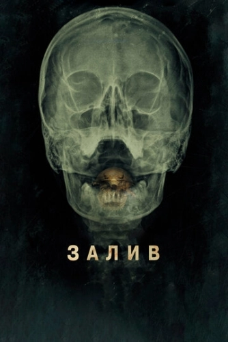 Залив (2012) смотреть онлайн