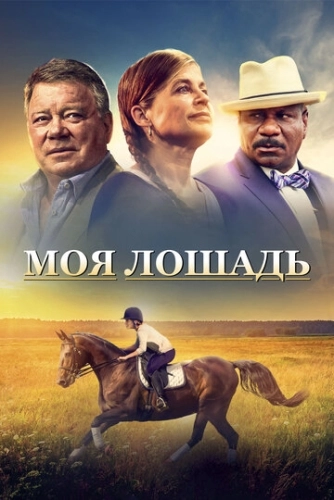 Моя лошадь (2016) смотреть онлайн