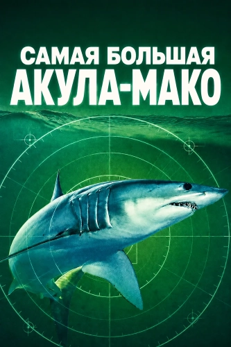 Самая большая акула-мако (2026)