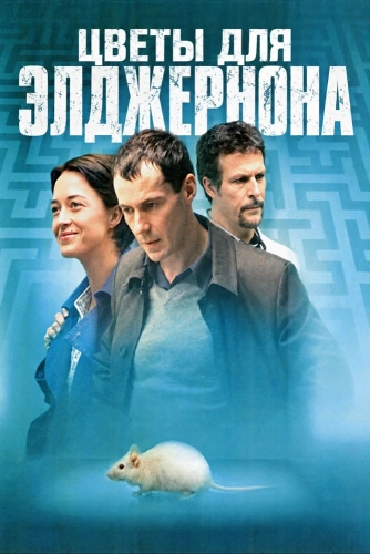Цветы для Элджернона (2006)